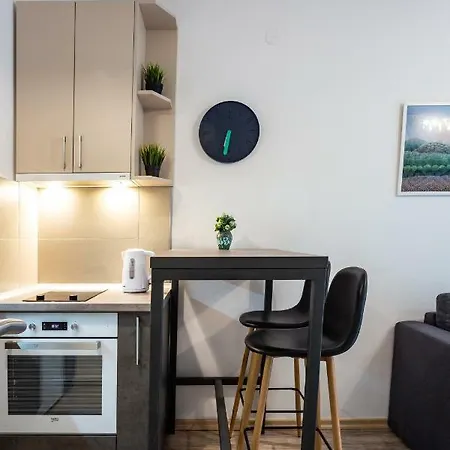 Modern Naive Downtown With Free Private Garage-fast Wi-fi * 노비사드